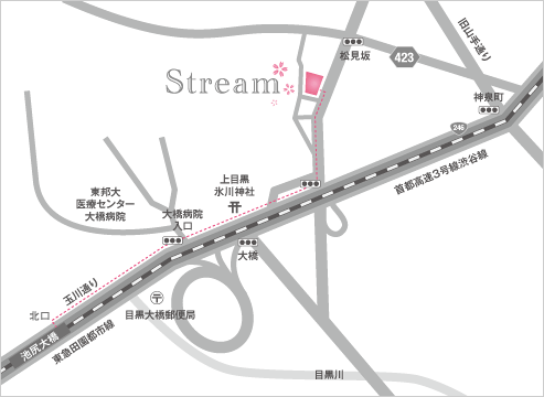 Stream Access Map